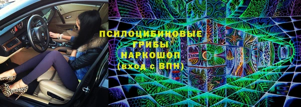 прущие грибы Аркадак