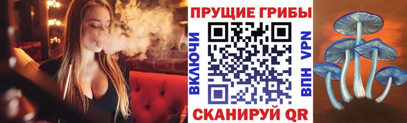 Псилоцибиновые грибы Cubensis  Купить где  Ужур 